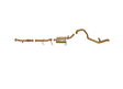 Pacemaker King Brown | 2.5" Exhaust Kit | Ford Maverick DA LWB 4.2L TB42 / TD42 | KB4000-XXMX